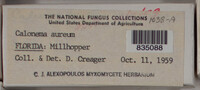 Image Associated With the Occurence